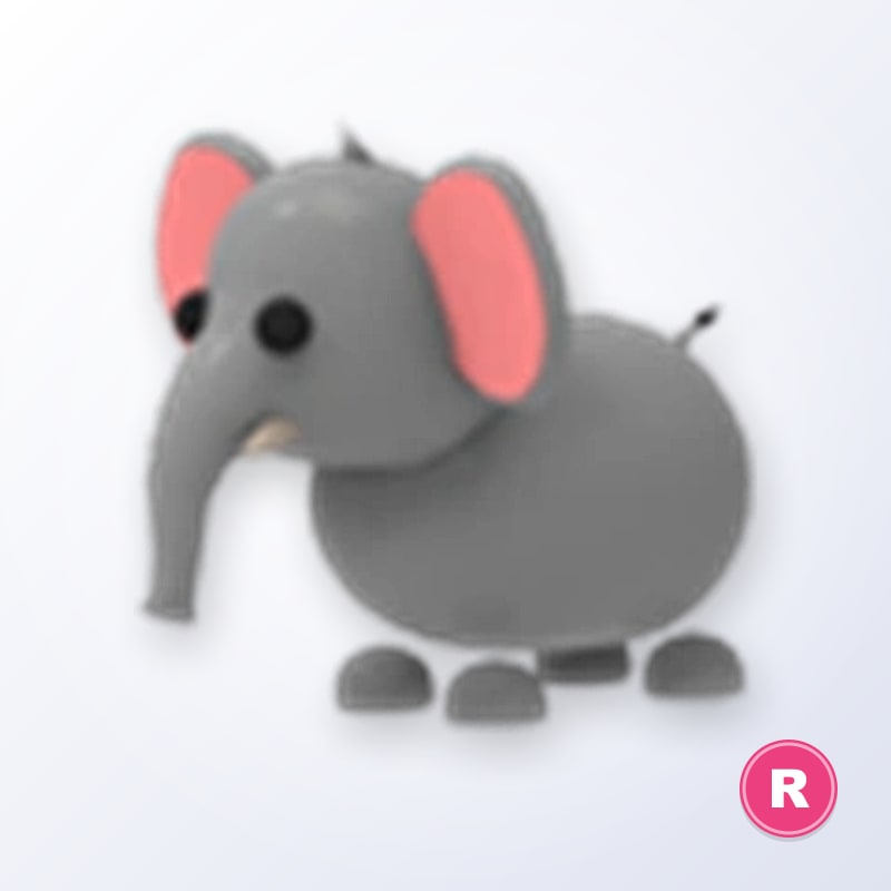 Elephant R | Adopt Me
