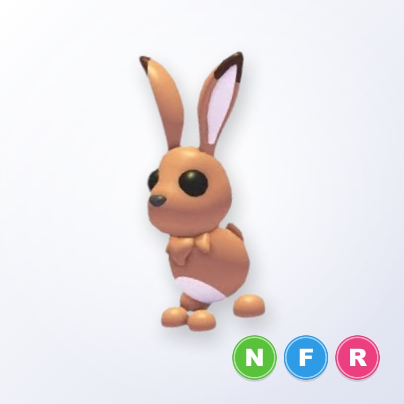 Hare NFR | Adopt Me