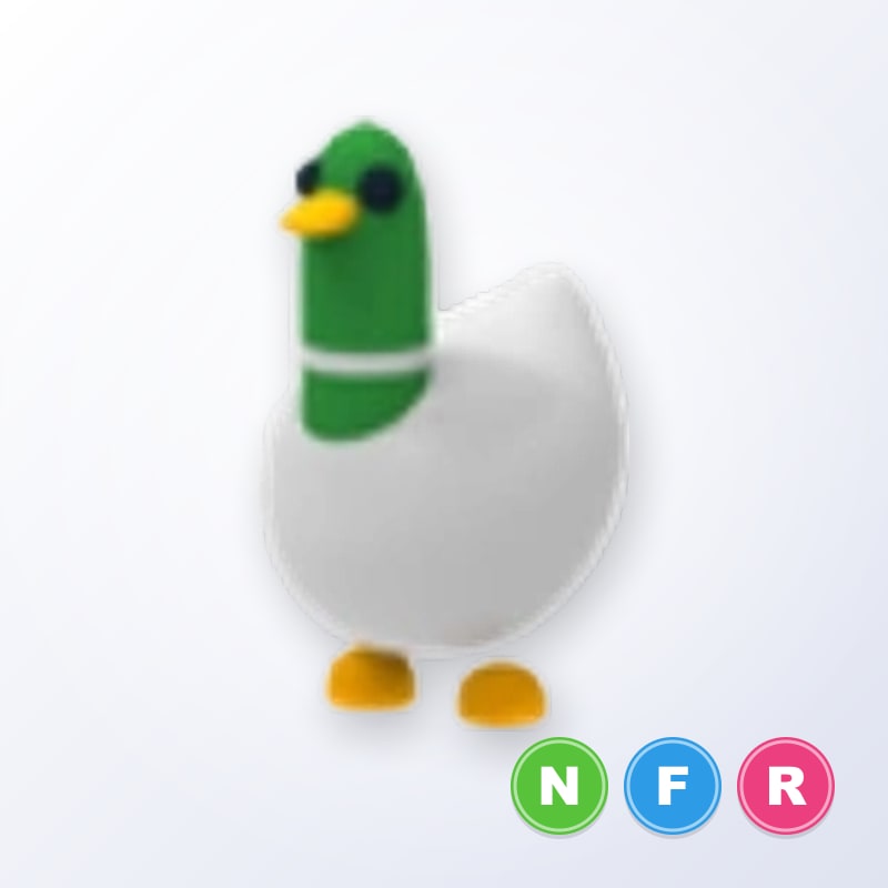 Silly Duck NFR | Adopt Me
