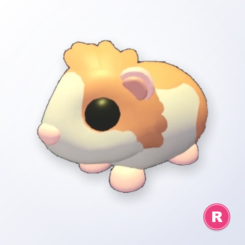 Red Dutch Guinea Pig R | Adopt Me