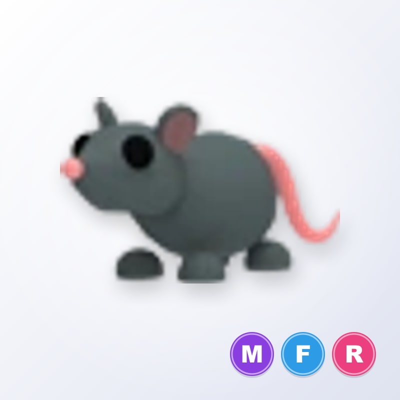 Rat MFR | Adopt Me