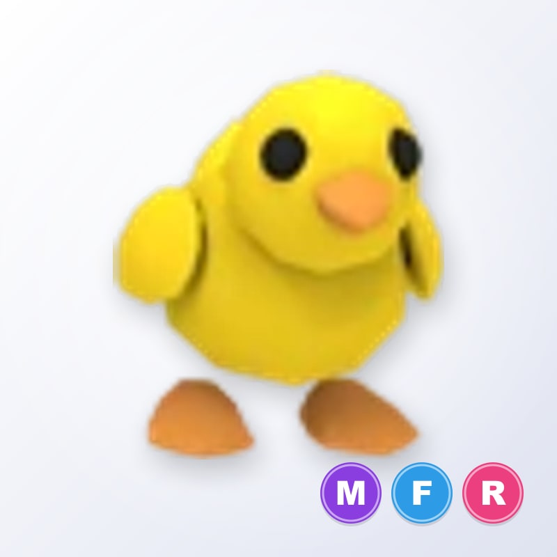 Chick MFR | Adopt Me