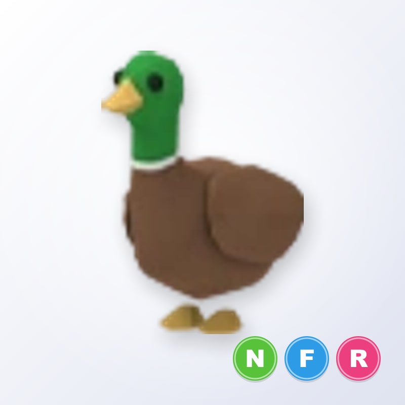 Drake NFR | Adopt Me