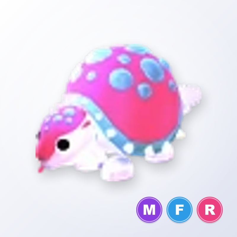 Glyptodon MFR | Adopt Me