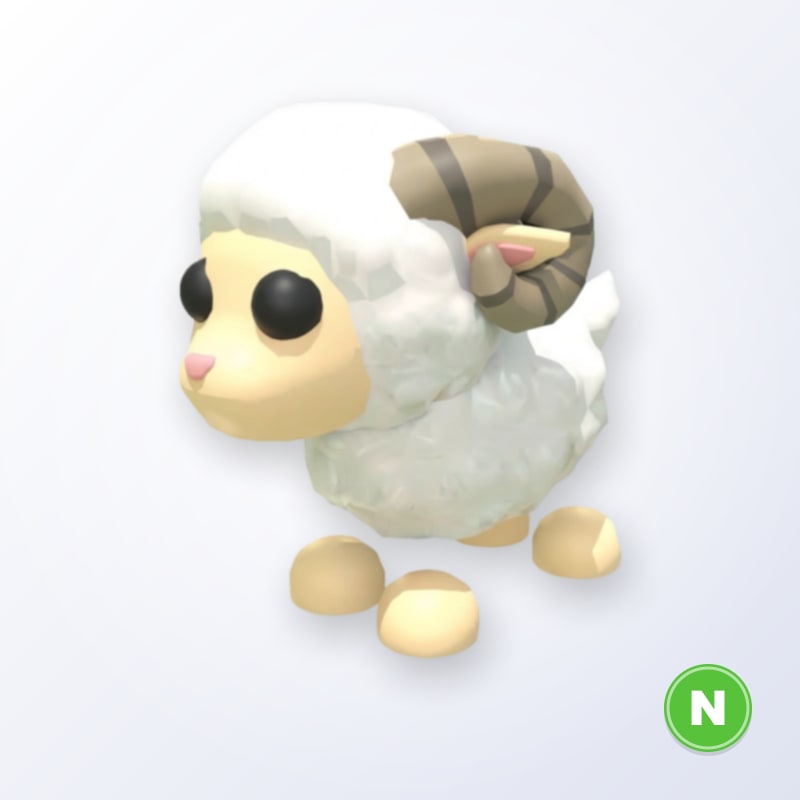 Ram N | Adopt Me