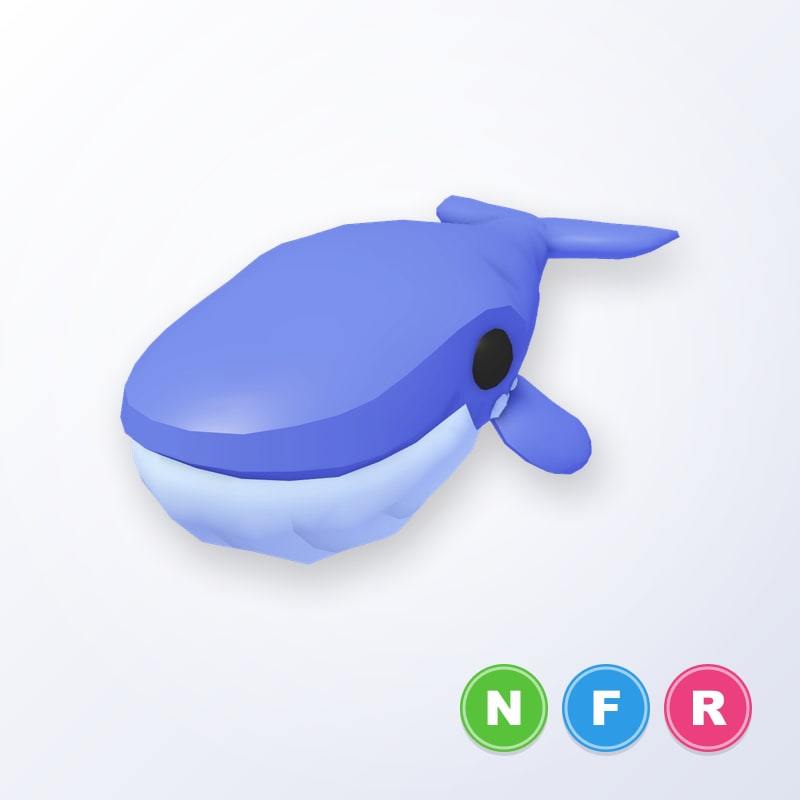 Blue Whale NFR | Adopt Me