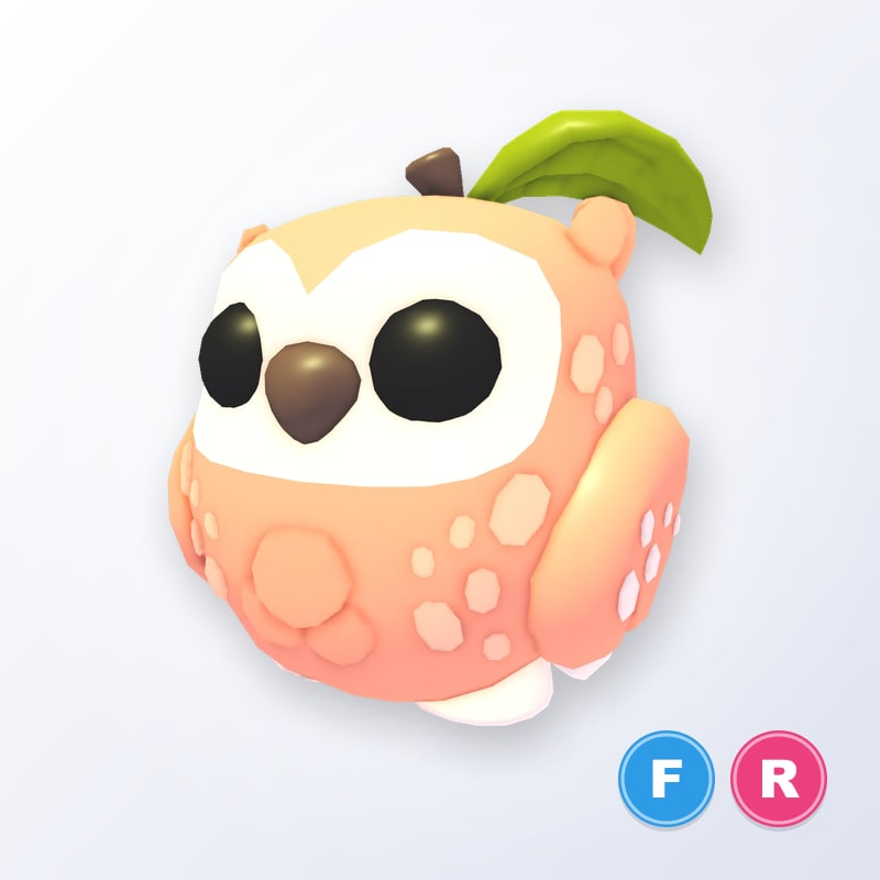Peach Owl FR | Adopt Me
