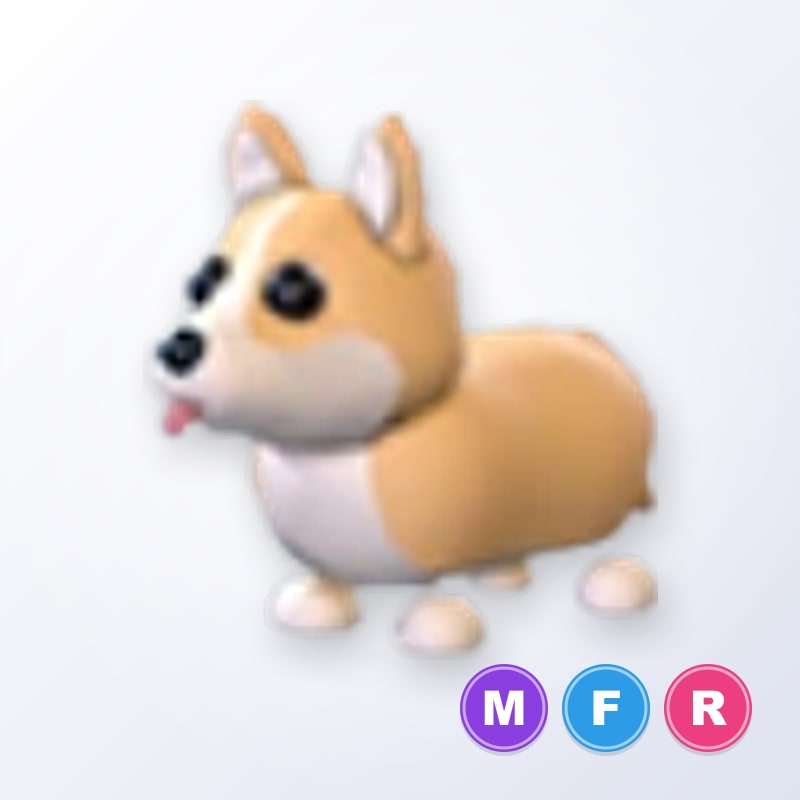 Corgi MFR | Adopt Me