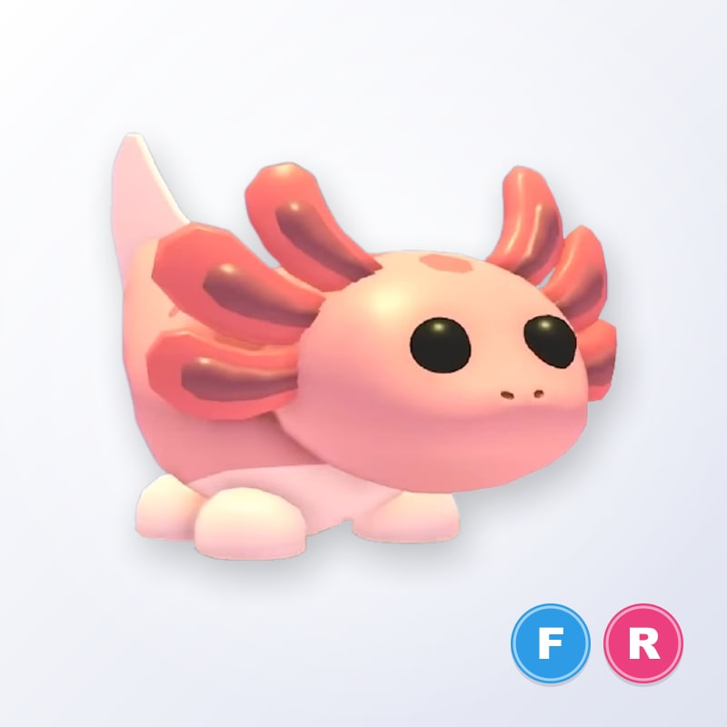 Axolotl FR | Adopt Me