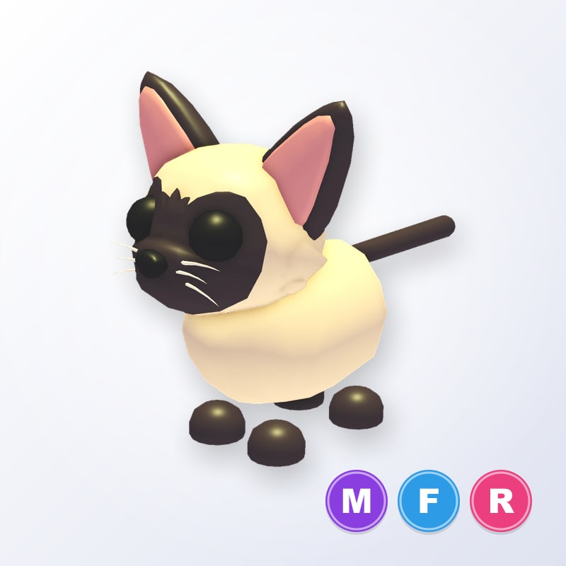 Siamese Cat MFR | Adopt Me