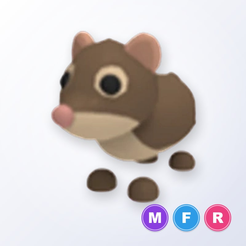 Shrew MFR | Adopt Me