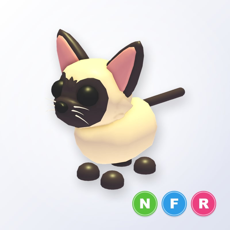 Siamese Cat NFR | Adopt Me