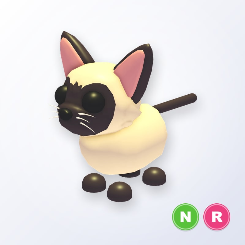 Siamese Cat NR | Adopt Me