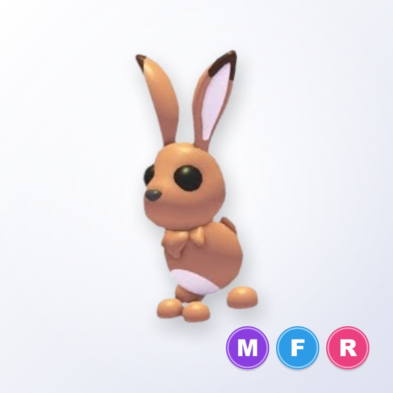 Hare MFR | Adopt Me