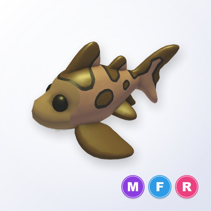 Leopard Shark MFR | Adopt Me