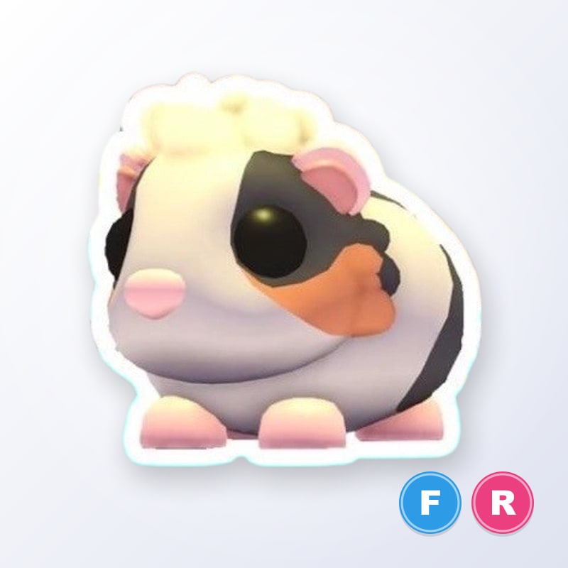 Tortoiseshell Guinea Pig FR | Adopt Me