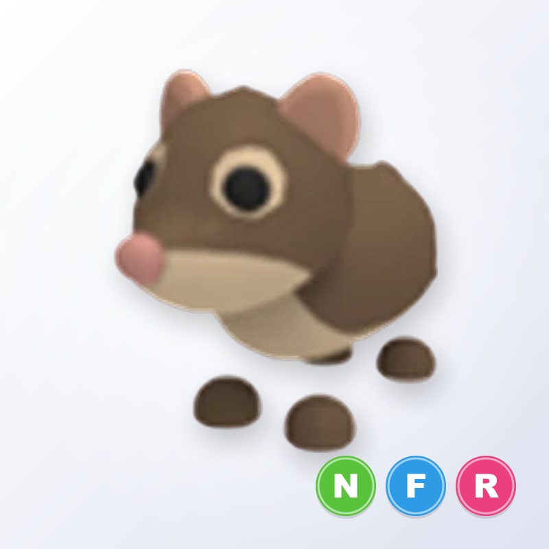Shrew NFR | Adopt Me