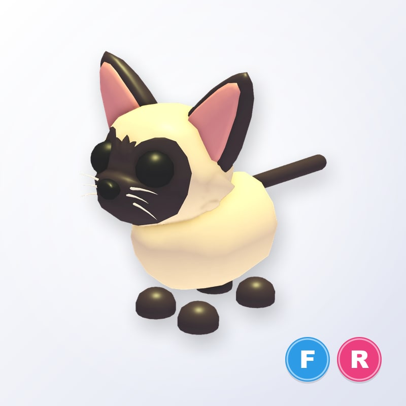 Siamese Cat FR | Adopt Me