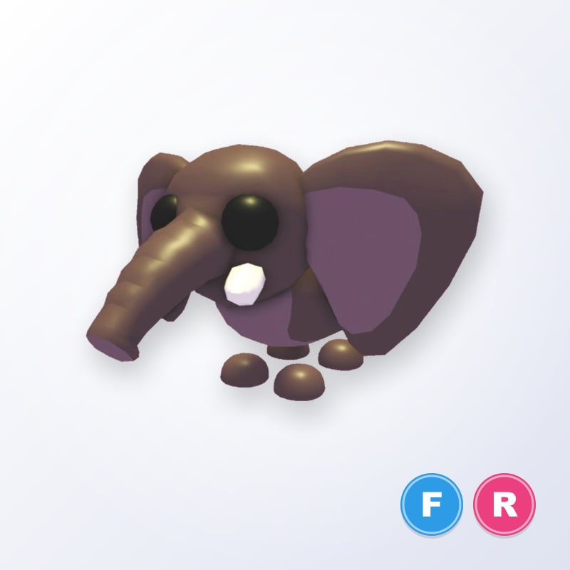 Bush Elephant FR | Adopt Me