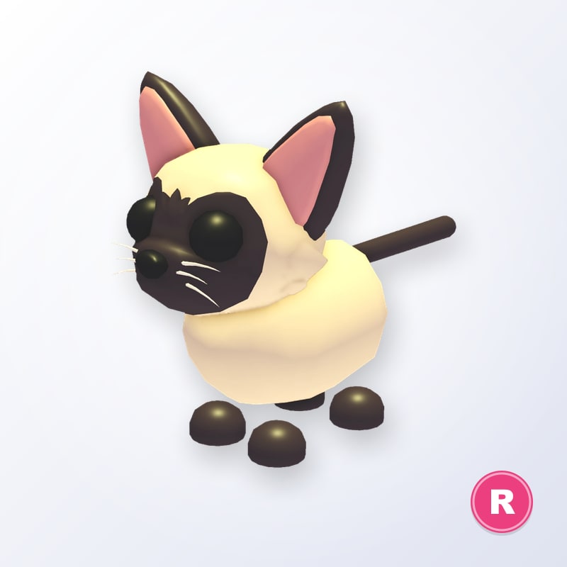 Siamese Cat R | Adopt Me