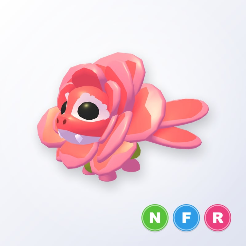 Rose Dragon NFR | Adopt Me