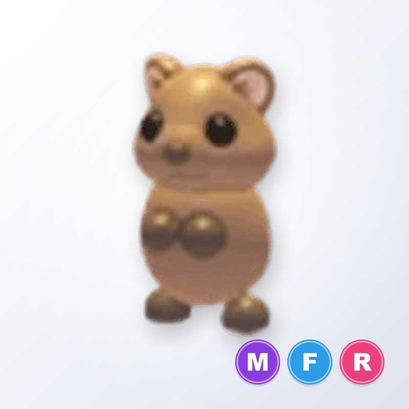 Quokka MFR | Adopt Me