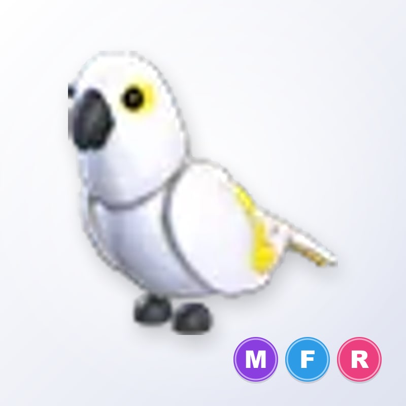 White Amazon MFR | Adopt Me
