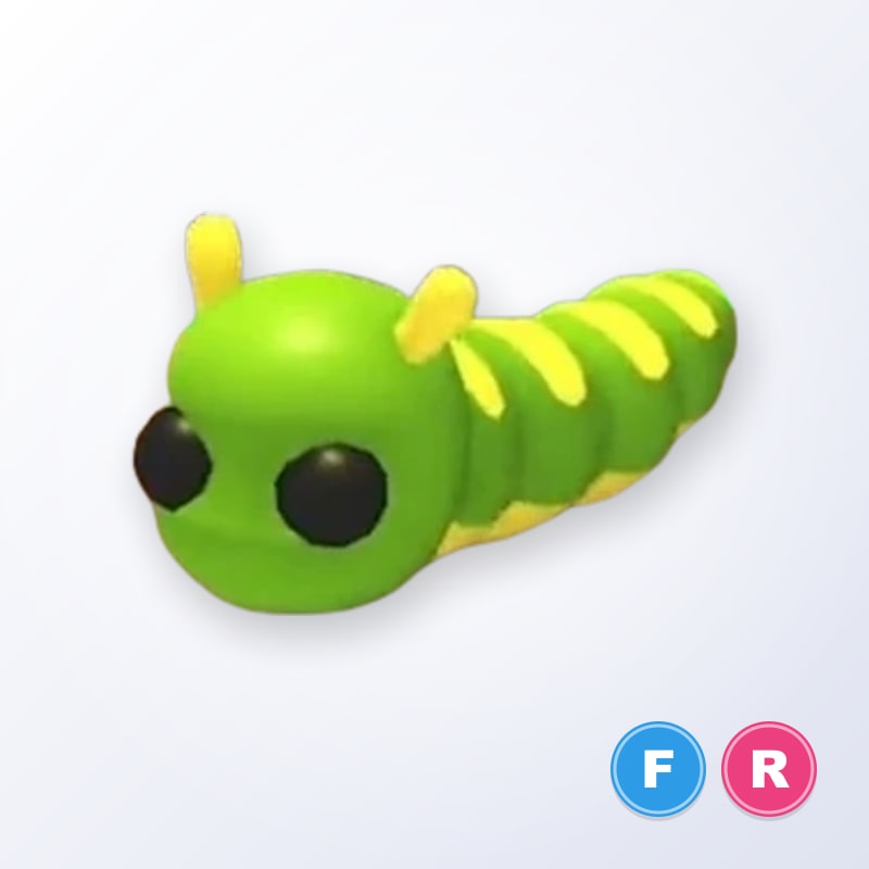 Caterpillar FR | Adopt Me
