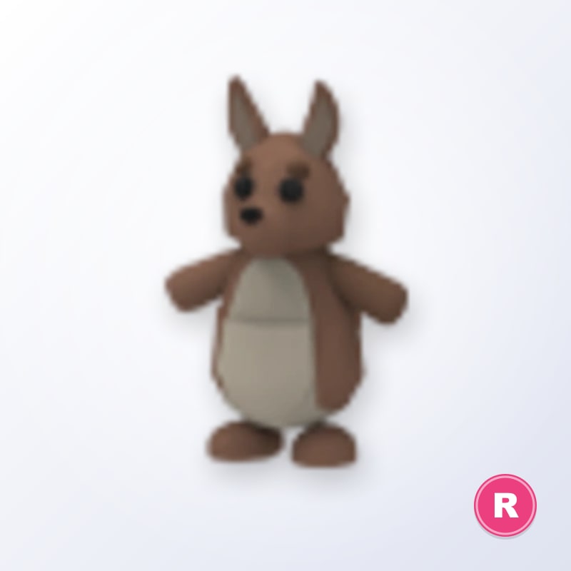 Kangaroo R | Adopt Me