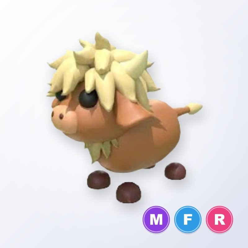 Highland Cow MFR | Adopt Me