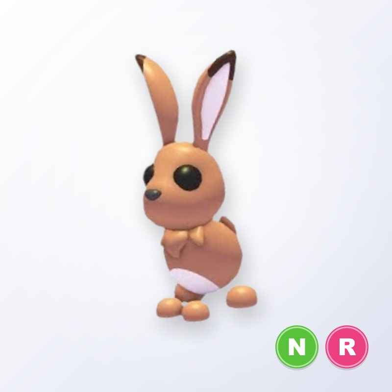 Hare NR | Adopt Me