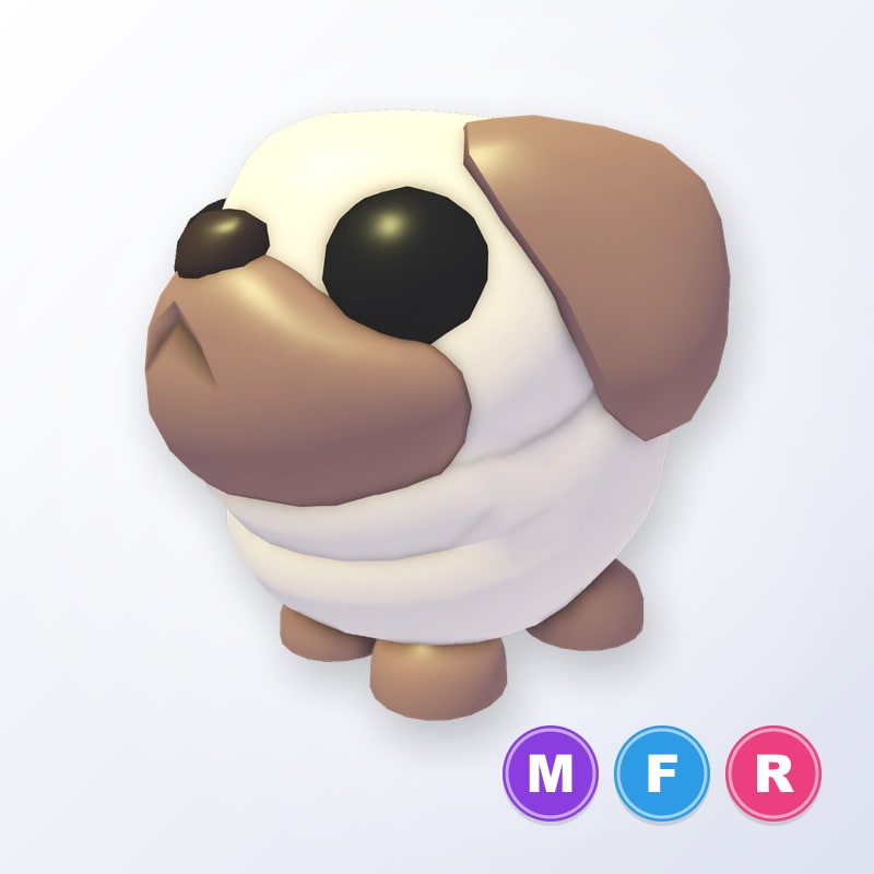 Snowball Pug MFR | Adopt Me