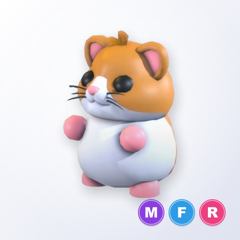 Hamster MFR | Adopt Me