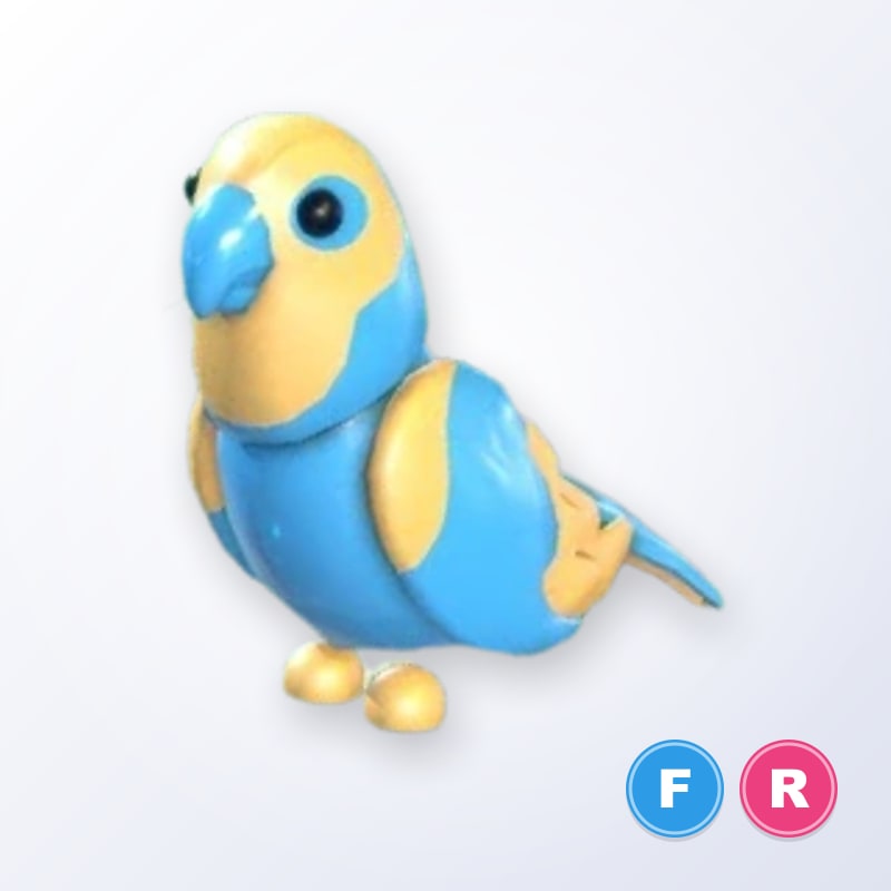 Diamond Amazon FR | Adopt Me