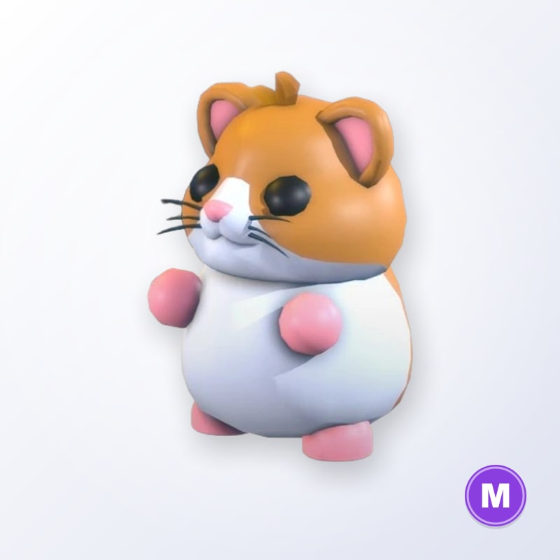 Hamster M | Adopt Me