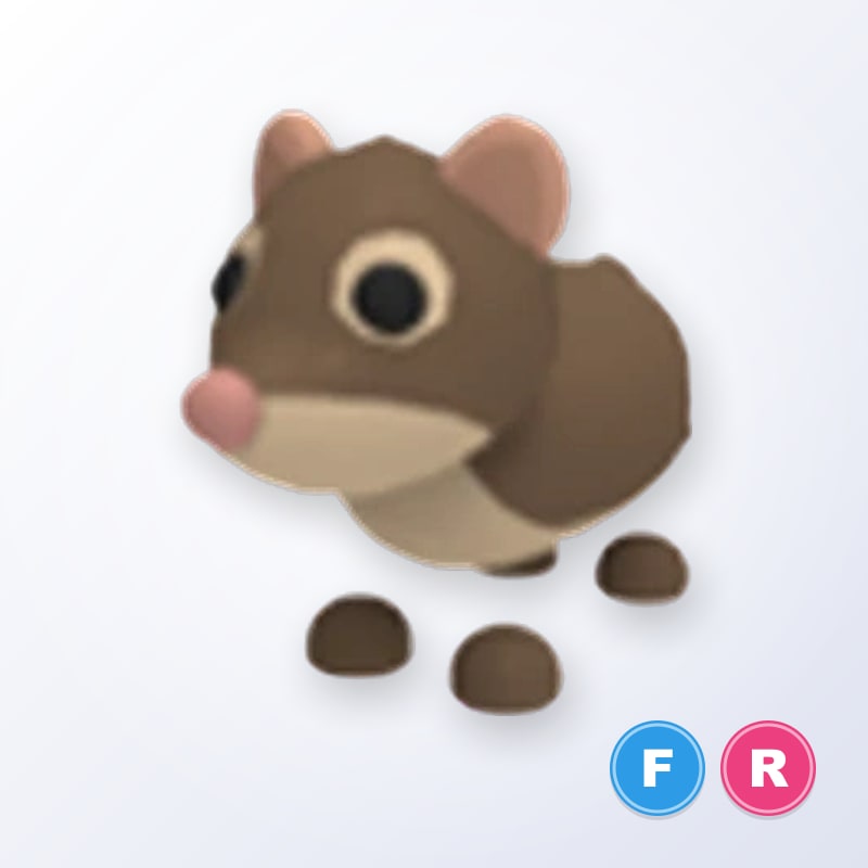 Shrew FR | Adopt Me