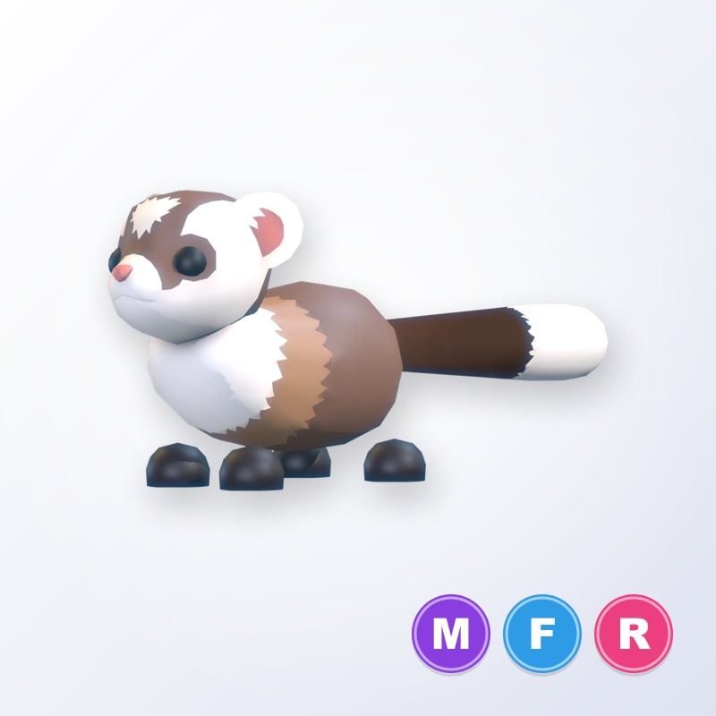 Black-Footed Ferret MFR | Adopt Me