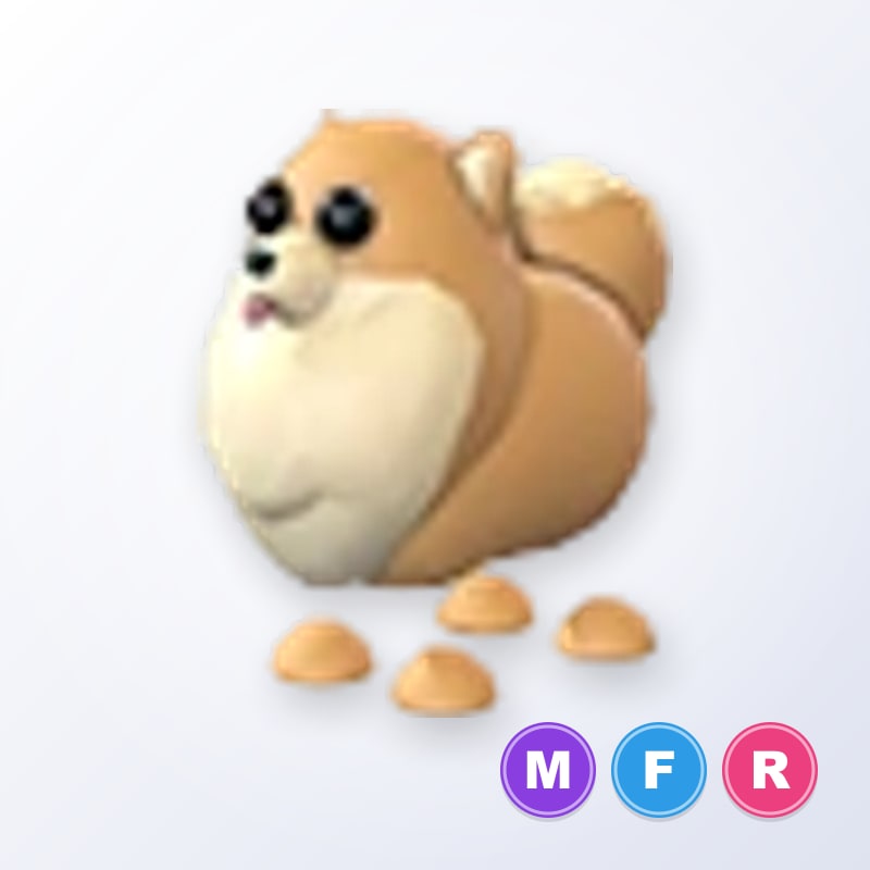 Pomeranian MFR | Adopt Me