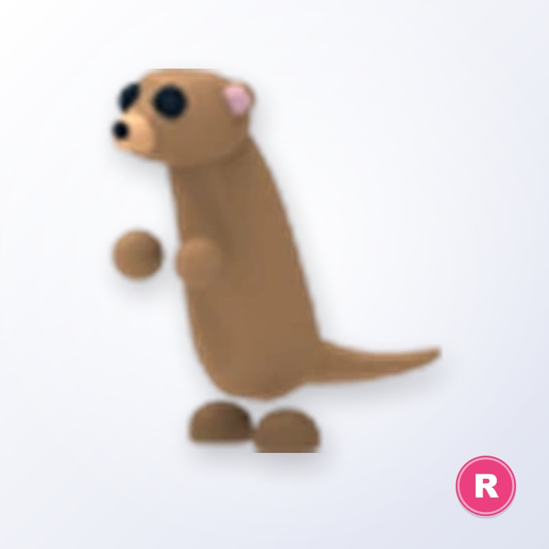 Meerkat R | Adopt Me