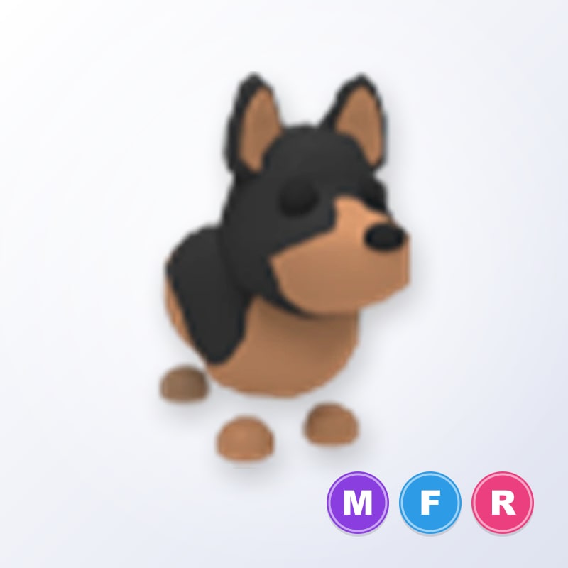 Australian Kelpie MFR | Adopt Me