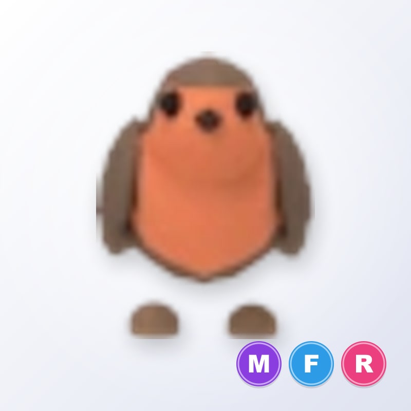 Robin MFR | Adopt Me