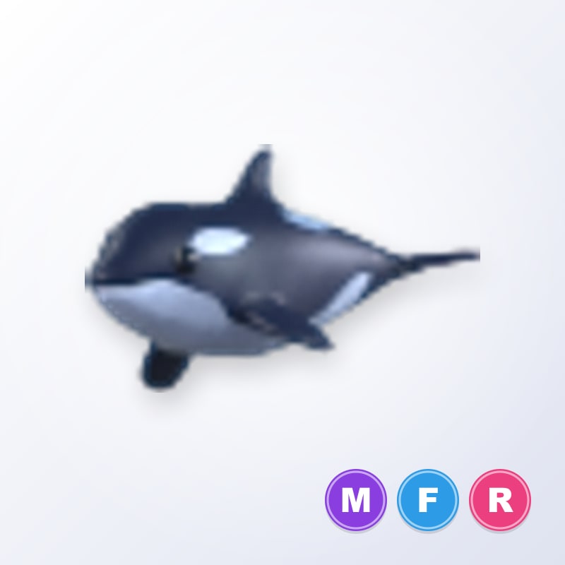 Orca MFR | Adopt Me