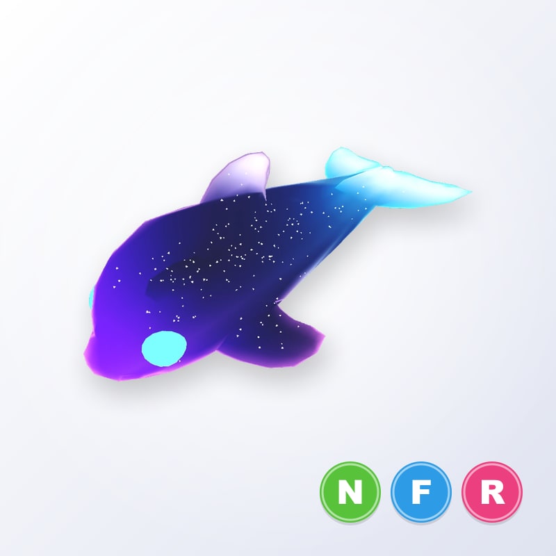 Glormy Dolphin NFR | Adopt Me