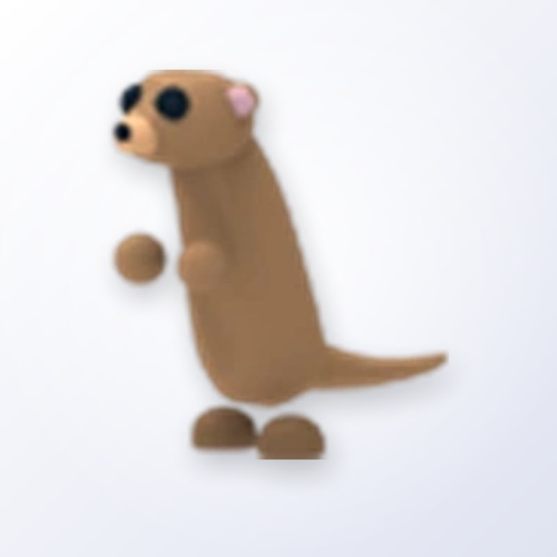 Meerkat | Adopt Me
