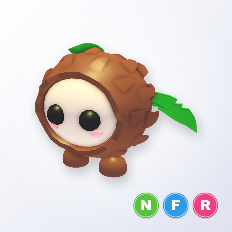 Coconut Friend NFR | Adopt Me