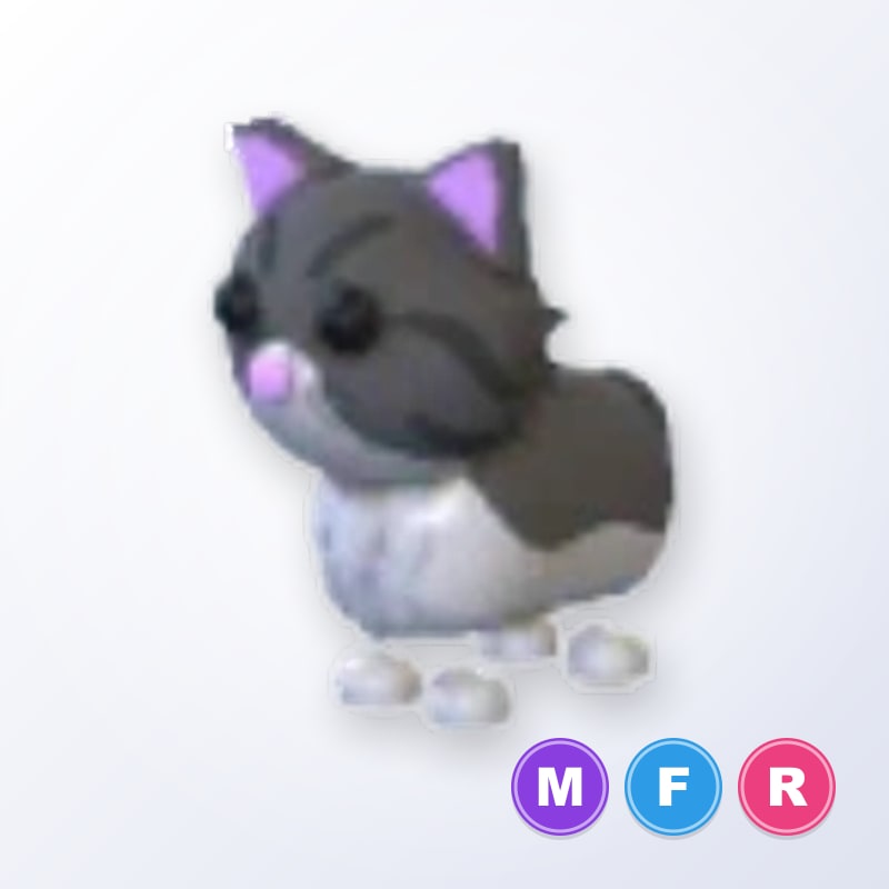 Persian Cat MFR | Adopt Me