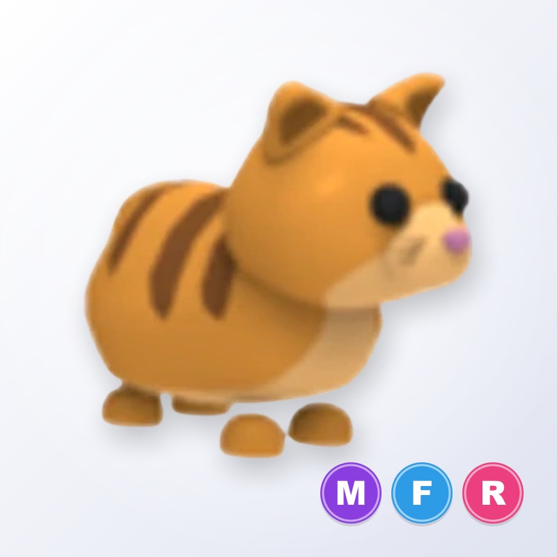 Ginger Cat MFR | Adopt Me