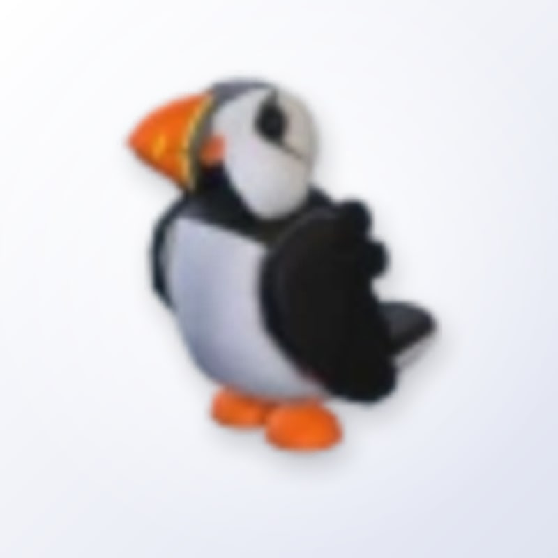 Puffin | Adopt Me
