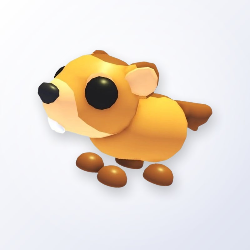 Groundhog | Adopt Me