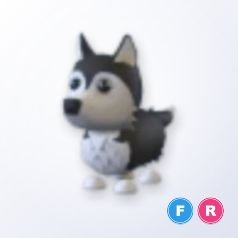 Husky FR | Adopt Me